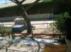 DSCN8391.jpg
